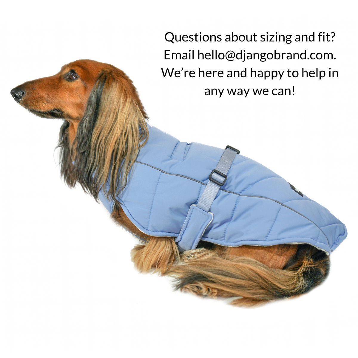 Django puffer dog deals jacket