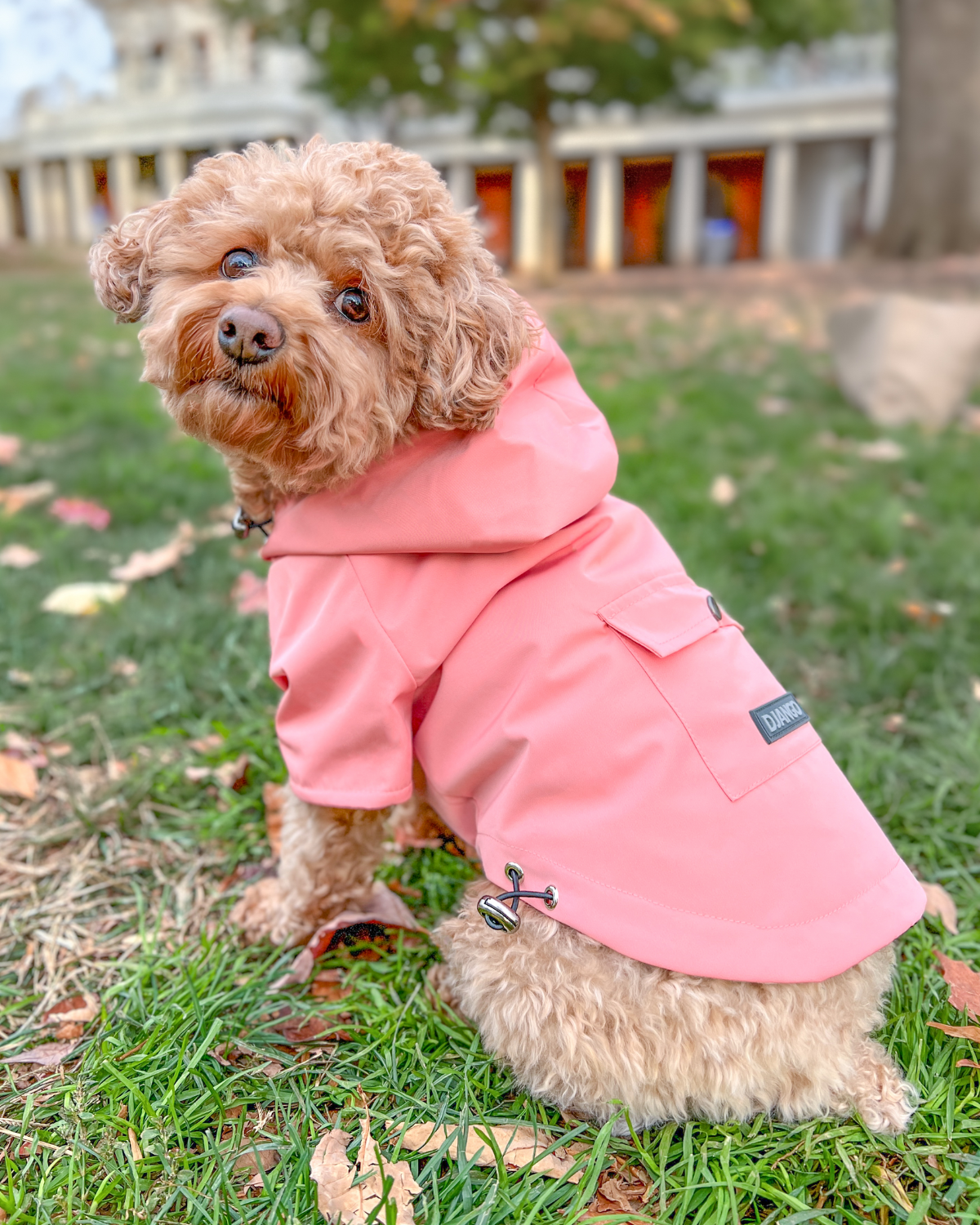 DJANGO's Highland Dog Jacket is a waterproof dog raincoat with a cozy interior lining, adjustable hood and hem, premium velcro closure, and adorable back pocket. Shop the best dog raincoat and most stylish dog raincoat on djangobrand.com