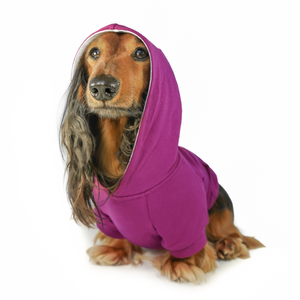 Dog Hoodie - Dark Fuchsia Purple