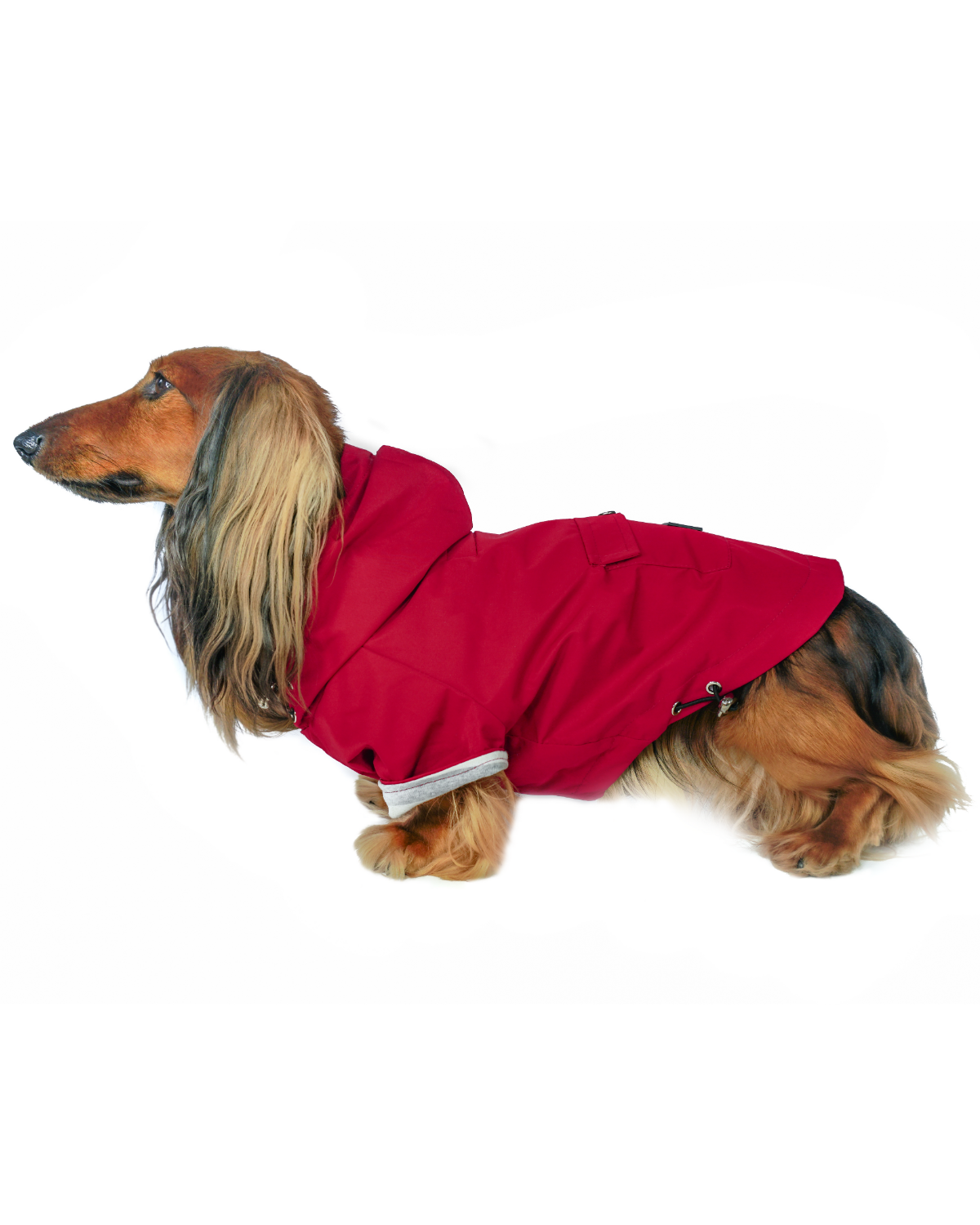 DJANGO Highland Cold Weather Dog Jacket and Raincoat Crimson Red