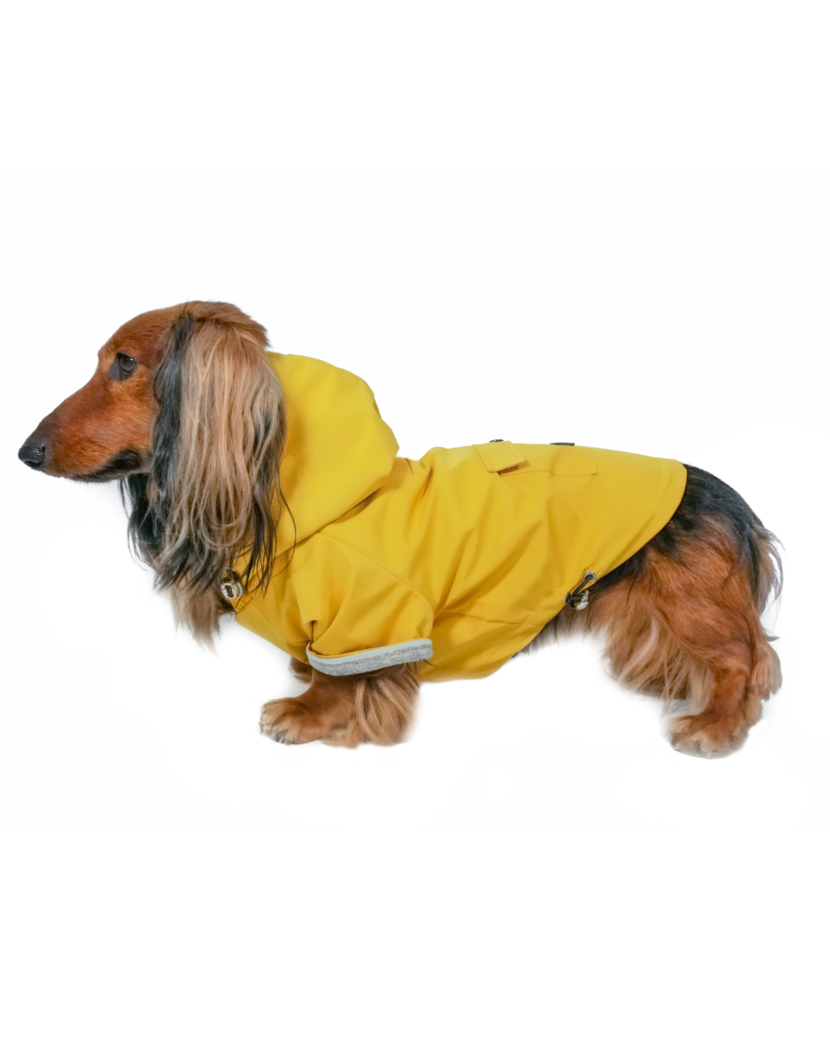 DJANGO Highland Cold Weather Dog Jacket and Raincoat Dandelion Yellow
