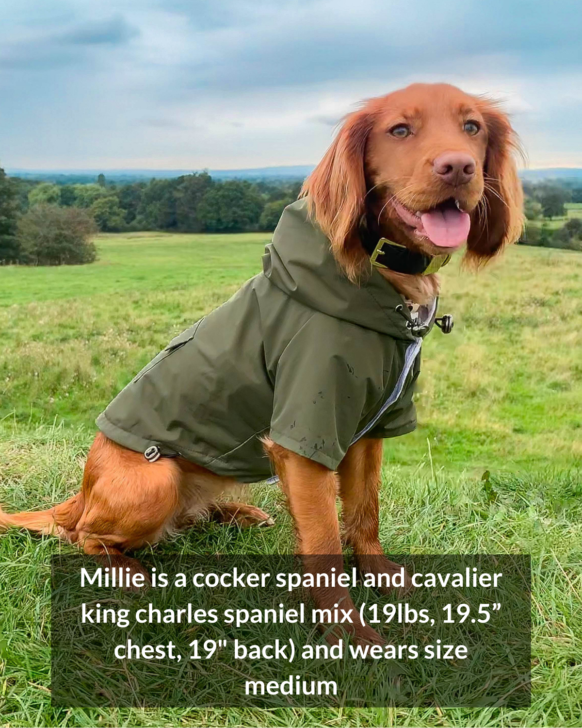 Small raincoat deals