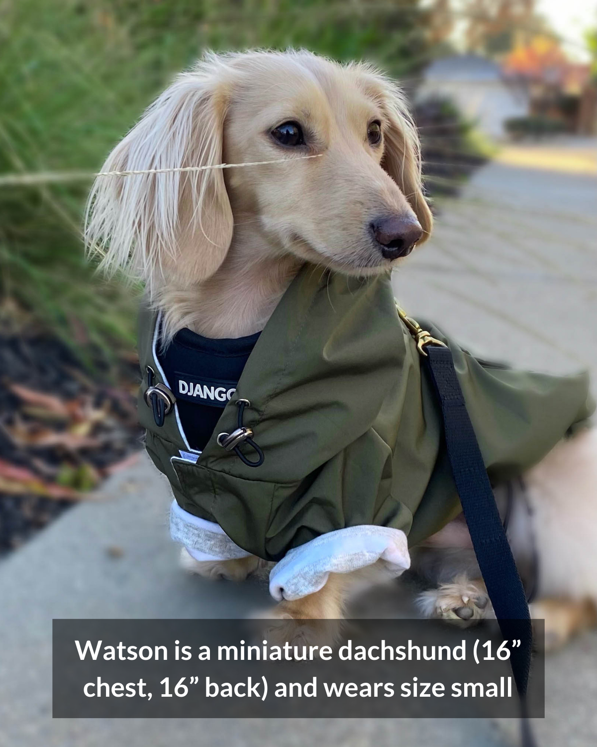 Durable and Waterproof Dog Raincoat with Hood: The DJANGO Highland Dog Jacket is made from lightweight, durable waterproof fabric, keeping your dog dry while withstanding wear and tear.