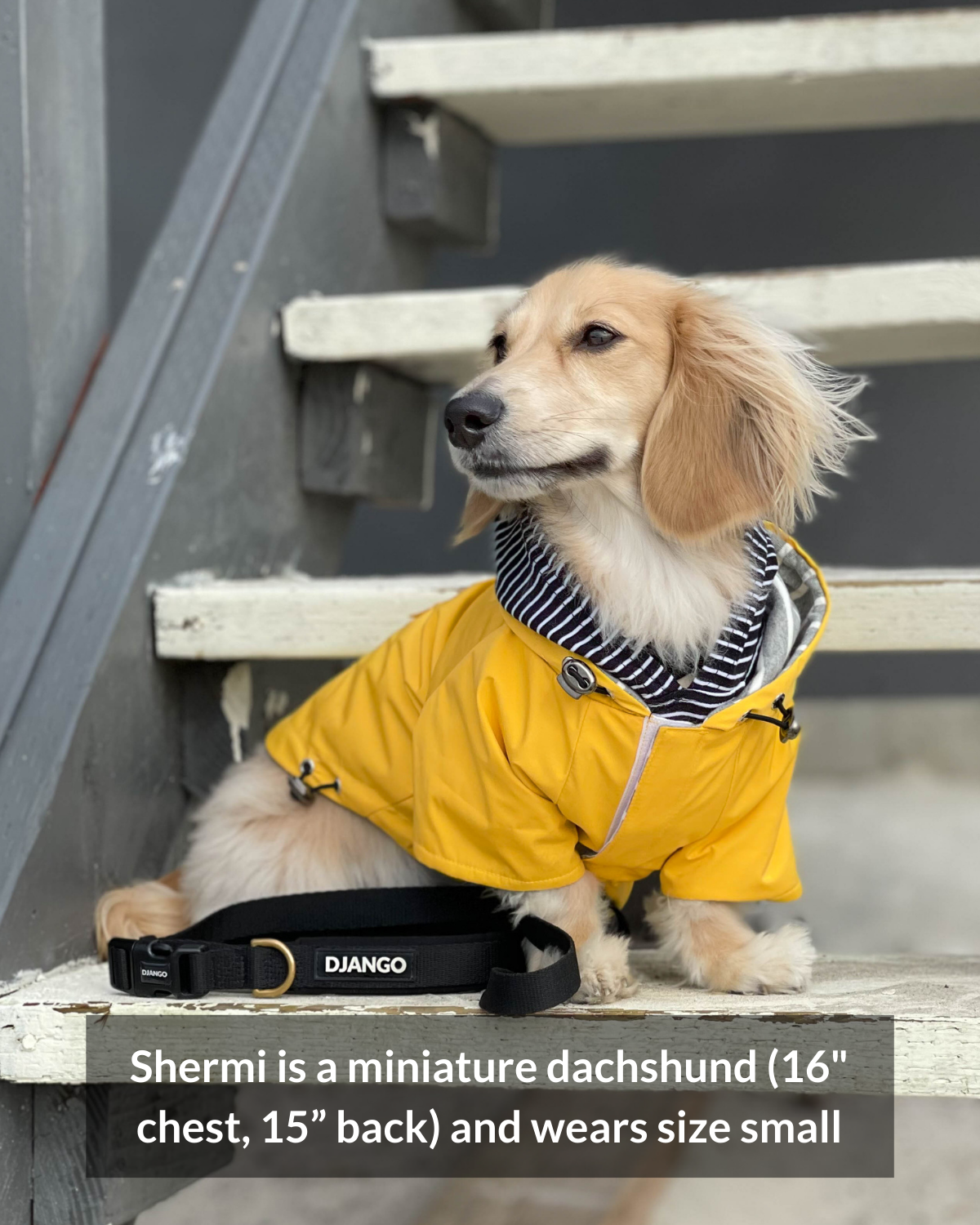 Raincoat with Back Pocket for Dogs: The convenient back pocket on this pink dog raincoat adds practicality, making it perfect for storing small items during walks