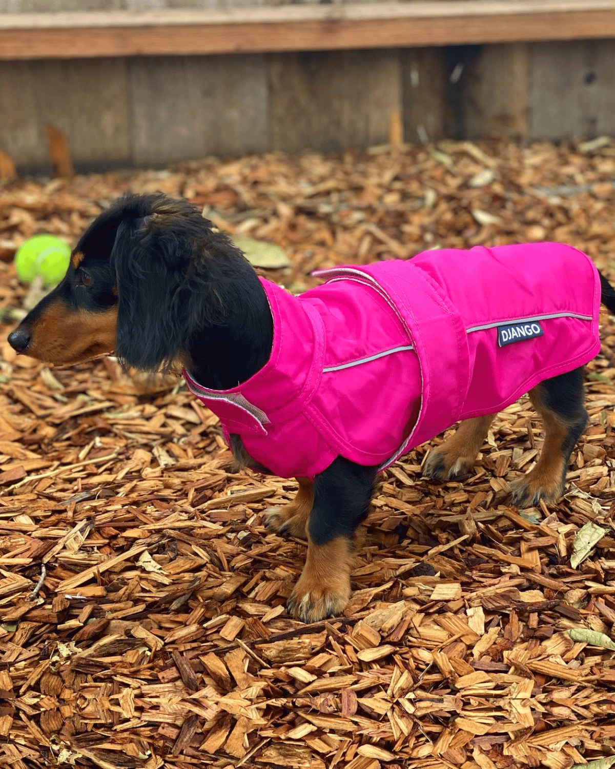 DJANGO's City Slicker Dog Jacket and Raincoat is a beautiful, lightweight dog jacket and water-resistant dog raincoat designed for spring showers, chilly autumn days, and snowy winter walks - djangobrand.com