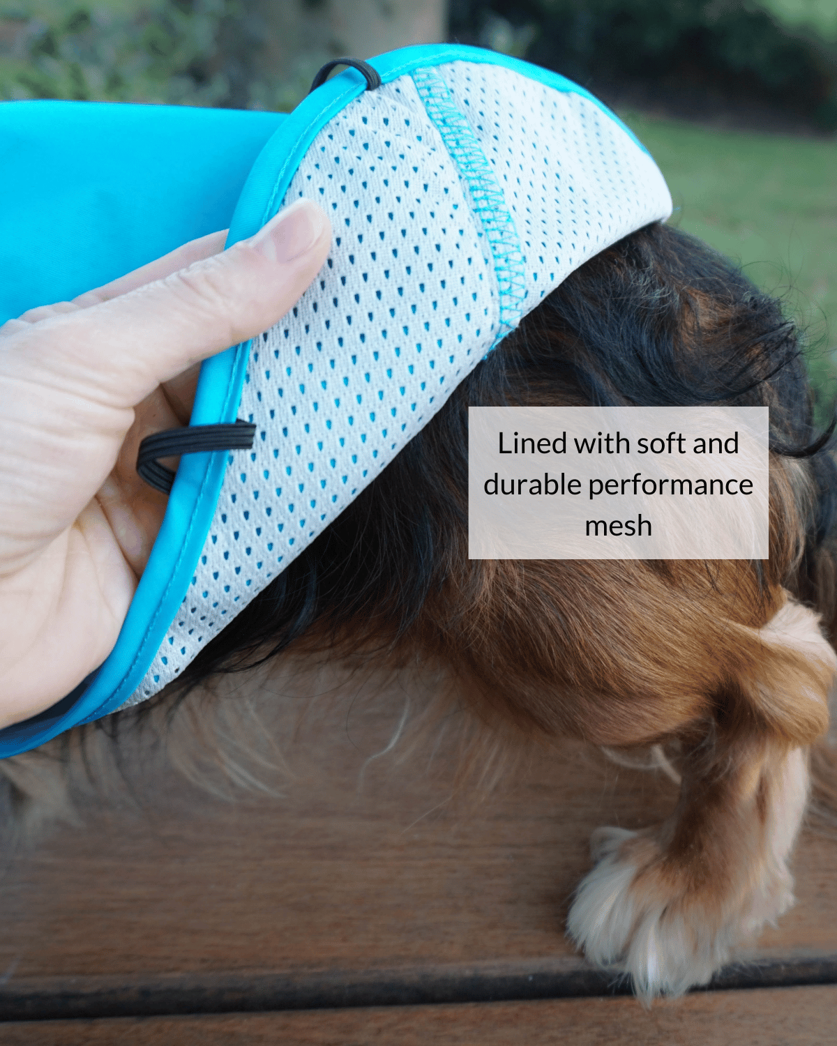 DJANGO City Slicker All-Weather Water-Repellent and Windproof Dog Jacket, Dog Raincoat and Dog Winter Coat in Topaz Blue - djangobrand.com