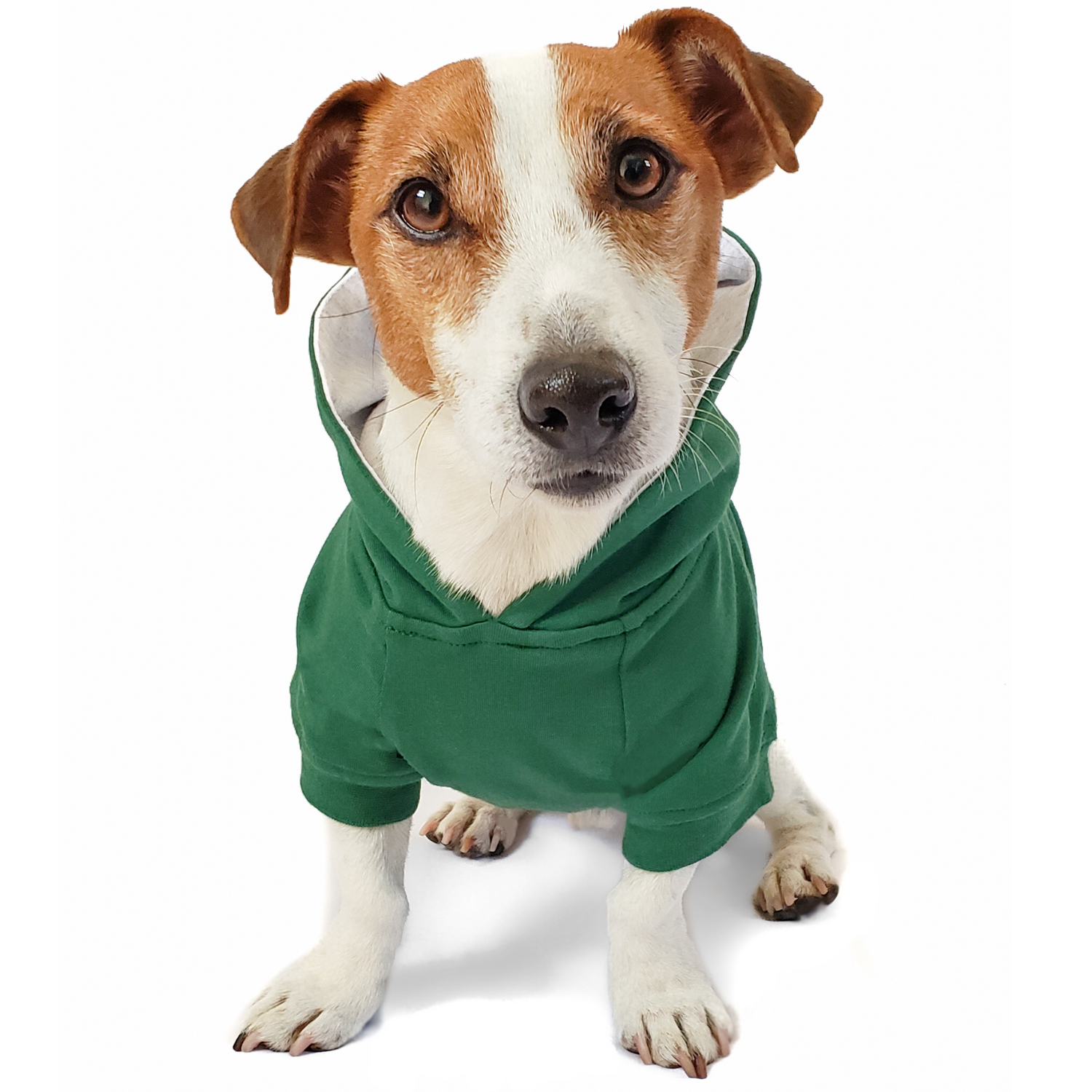 Green dog hoodie for dachshunds, frenchies, and corgis – warm cotton blend dog clothes