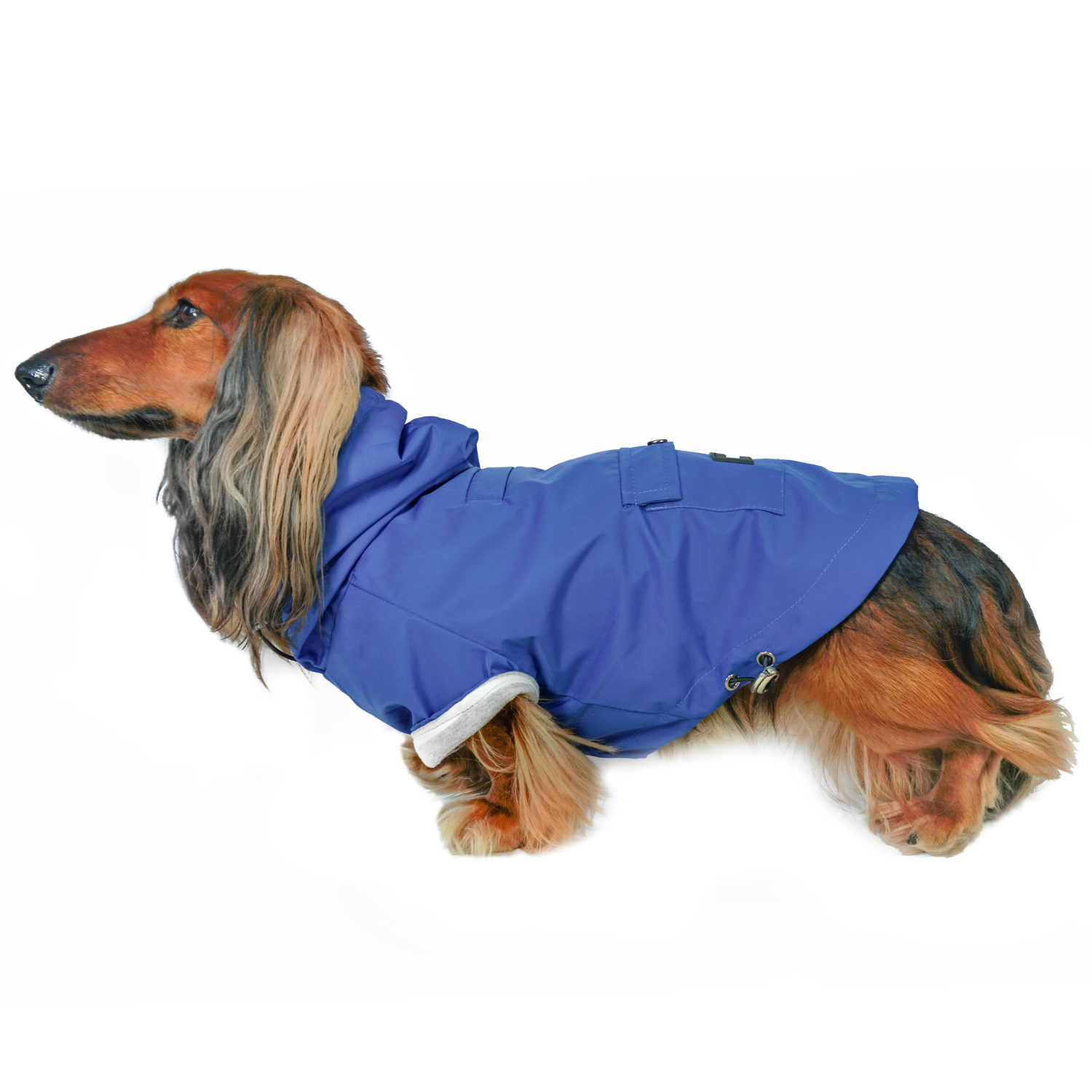 Django dog coats clearance