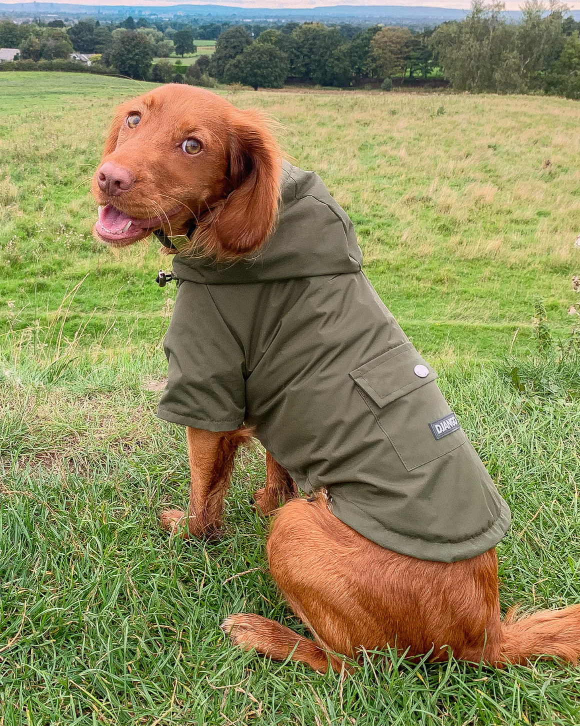 DJANGO Highland Cold Weather Dog Jacket and Raincoat in Olive Green - Made of water-repellent performance fabric, DJANGO's Highland Dog Jacket and Raincoat is a beautiful, stylish, and super functional dog coat. The soft-to-the-touch exterior shell will shield your pup from rain, snow, dirt, and windchill - djangobrand.com