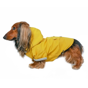 DJANGO Highland Cold Weather Dog Jacket and Raincoat in Dandelion Yellow - Made of water-repellent performance fabric, DJANGO's Highland Dog Jacket and Raincoat is a beautiful, stylish, and super functional dog coat. The soft-to-the-touch exterior shell will shield your pup from rain, snow, dirt, and windchill - djangobrand.com
