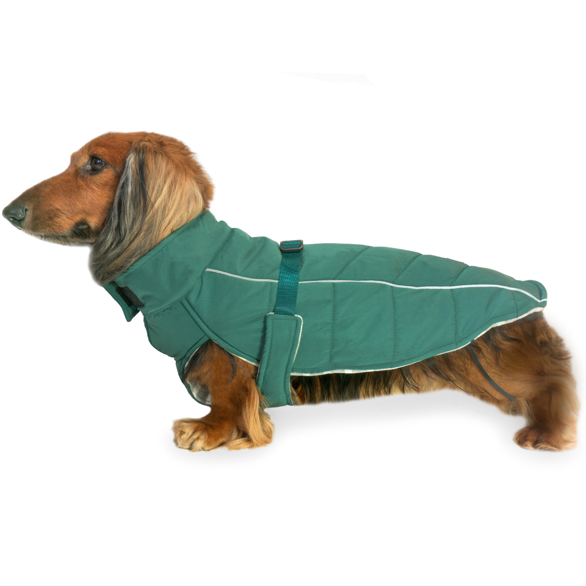 DJANGO Whistler Dog Coat in Lafayette Green— soft, insulated, waterproof, and comfortable winter snow jacket for dogs.