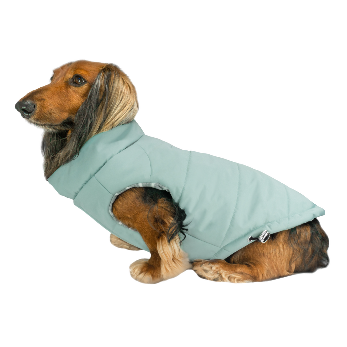 DJANGO Dog Coats Snowline™ Puffer Dog Coat in Sea Foam Green
