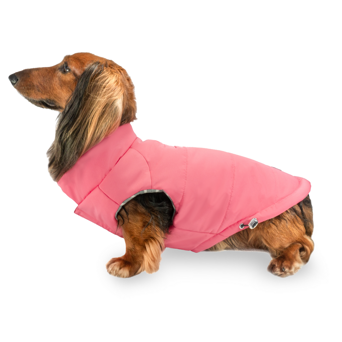 DJANGO Dog Coats Snowline™ Puffer Dog Coat in Rose Petal Pink