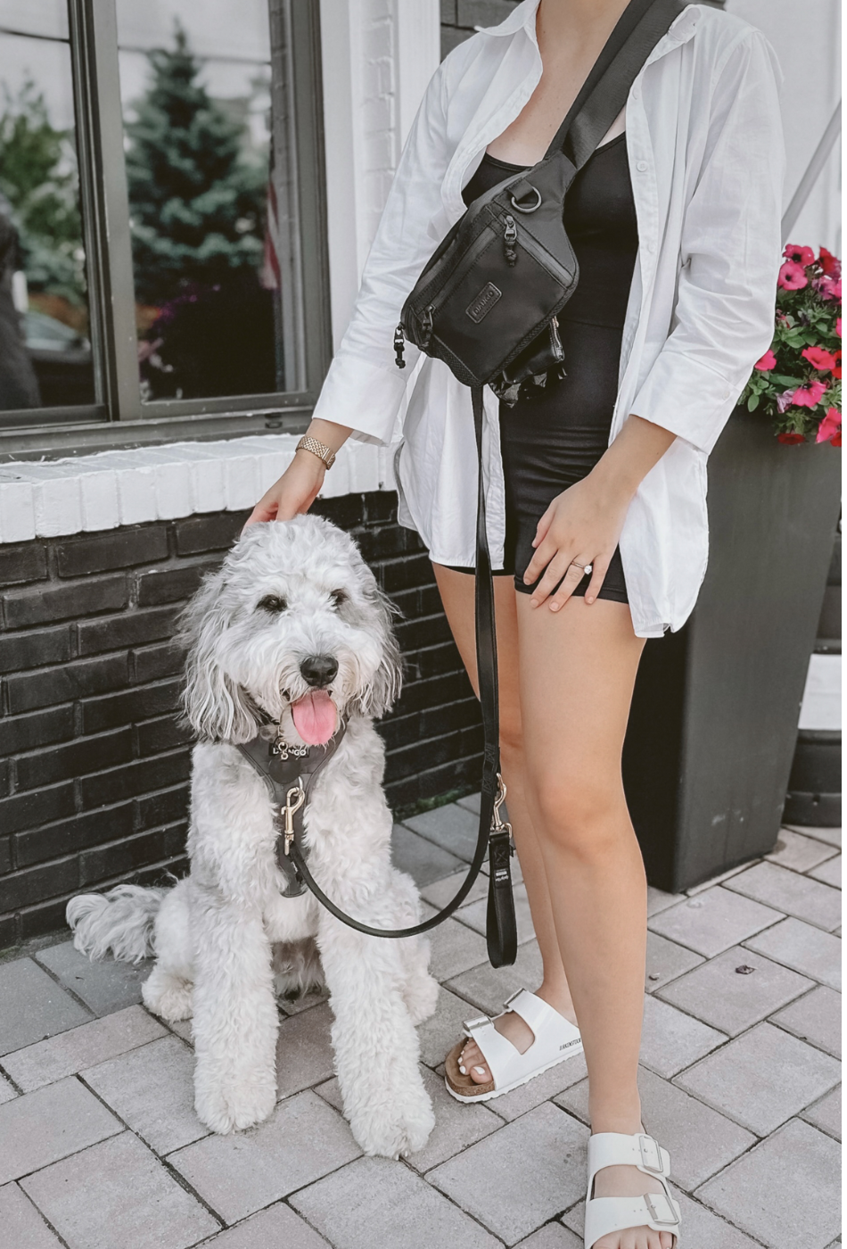 DJANGO Nolita Belt Bag in Black - Modern, sleek, ultra-functional, and dog-friendly nylon fanny pack for everyday outings and adventures - djangobrand.com