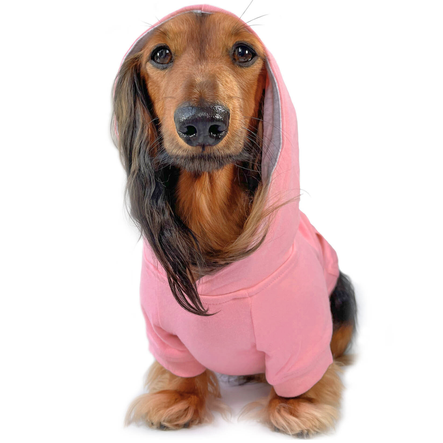 Pink dog hoodie for small breeds – soft cotton sweatshirt for dachshunds and frenchies