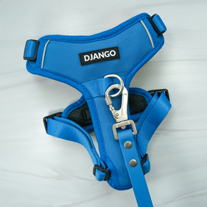 DJANGO Tahoe Dog Leash in Alpine Blue - Waterproof, dirt-resistant, odor-resistant, and easy-to-clean dog leash designed for muddy mountain trails, sparkling lakes, and dusty sidewalks. - djangobrand.com