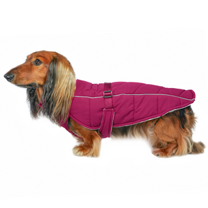 DJANGO's Whistler Winter Dog Coat is a warm and comfortable cold weather dog parka. Insulated for the coldest winter weather, this alpine-inspired puffer dog coat features a windproof and water-repellent exterior, a soft and cozy interior lining, and reflective piping for low light adventures. An adjustable webbing chest strap and velcro neck closure allow for easy on-off and a tailored fit around your dog's body.