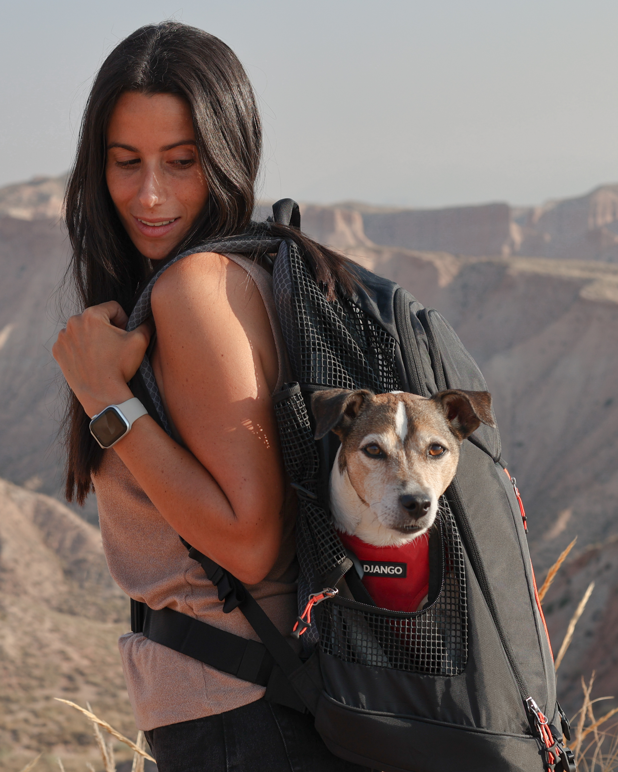 Woman hiking outdoors with a small dog in a horizontal dog carrier backpack with a desert landscape in the background. The small dog breed is a Jack Russell Terrier wearing a red padded neoprene dog harness.
