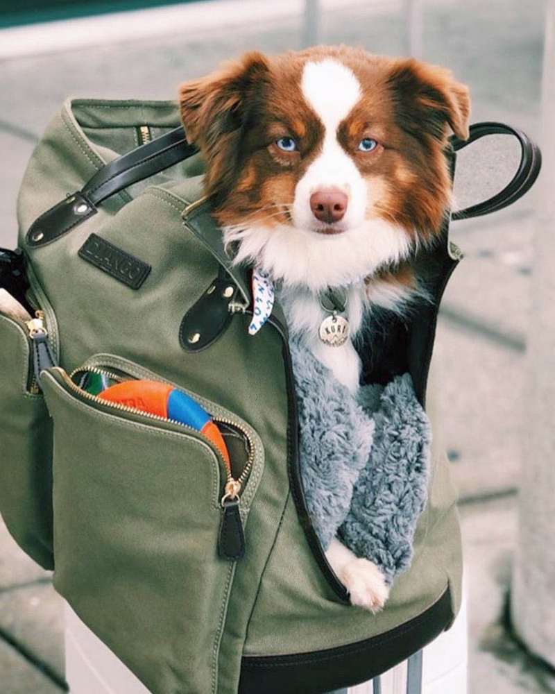 large dog carrier bag olive green