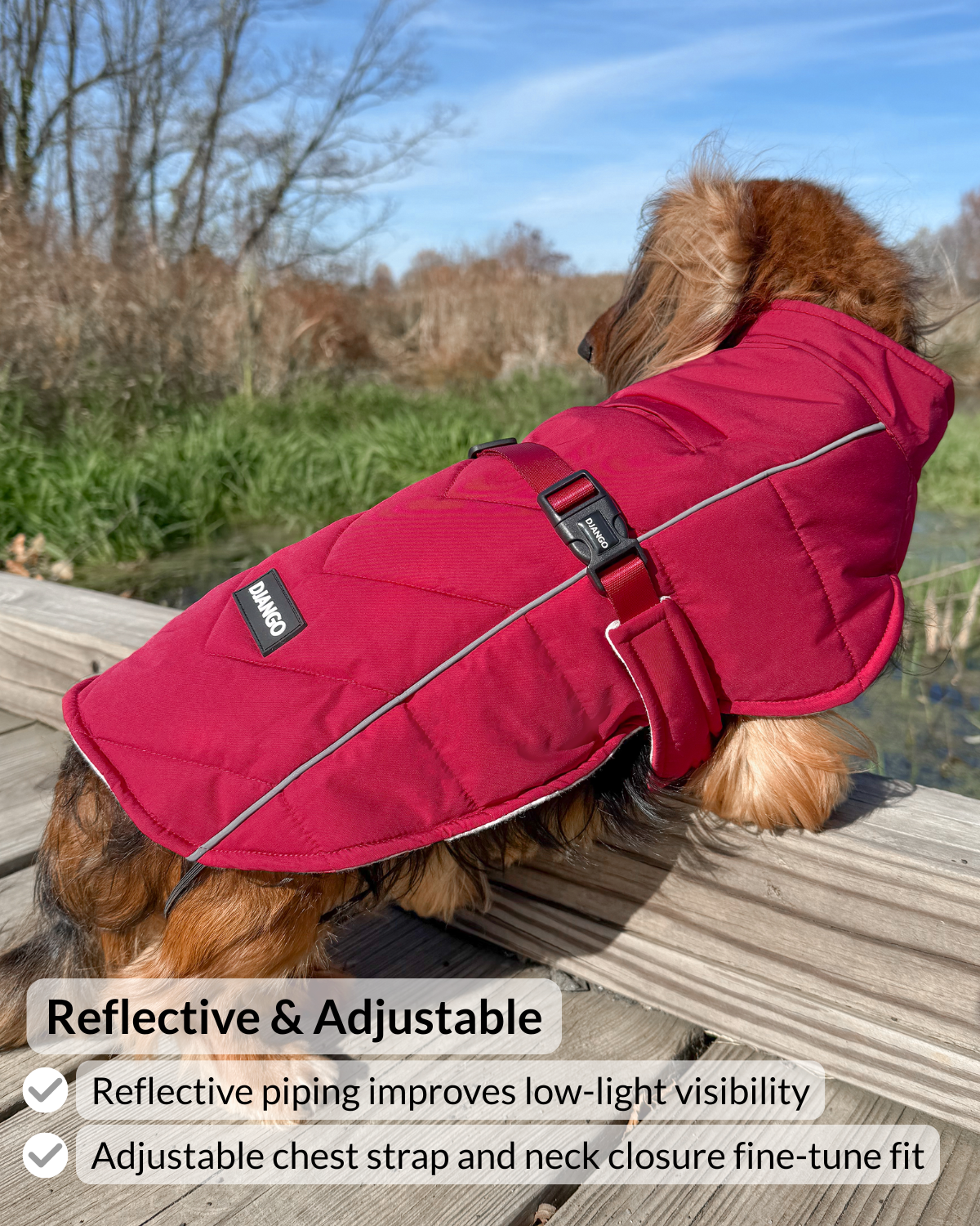Close-up of reflective piping and the adjustable chest strap and buckle on the Firelight Red Whistler Winter Dog Coat