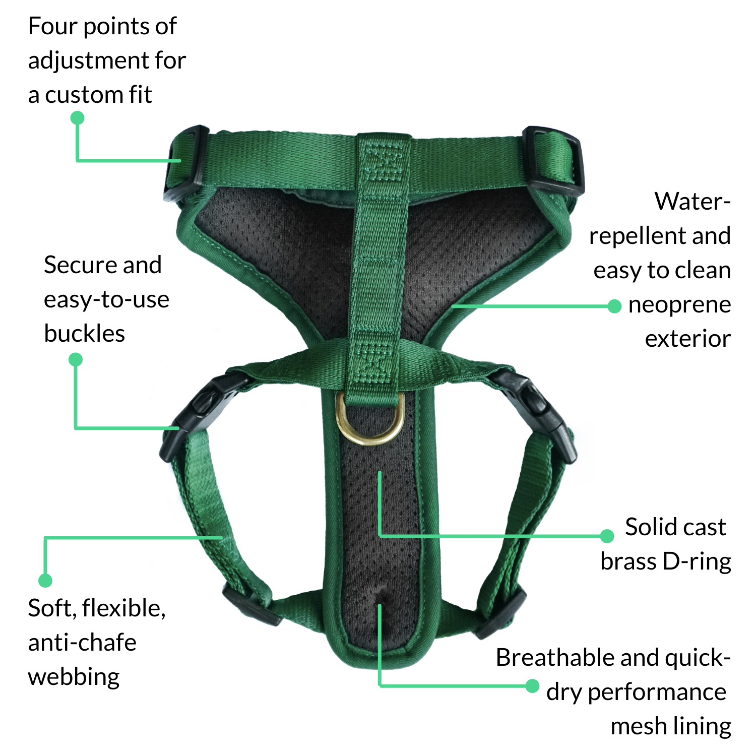 Feature diagram of the forest green DJANGO Adventure Cat Harness showing adjustable straps, secure buckles, breathable mesh, neoprene exterior, and solid brass D-ring.