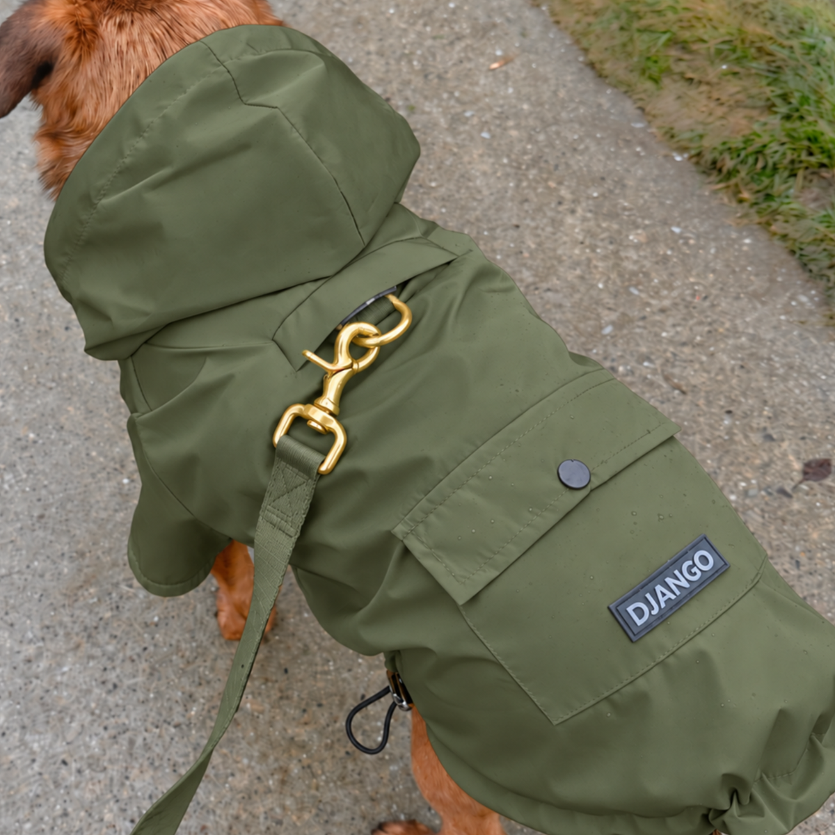 Olive Green Highland Dog Raincoat showing the covered harness hole and leash portal for a back-clip harness worn underneath