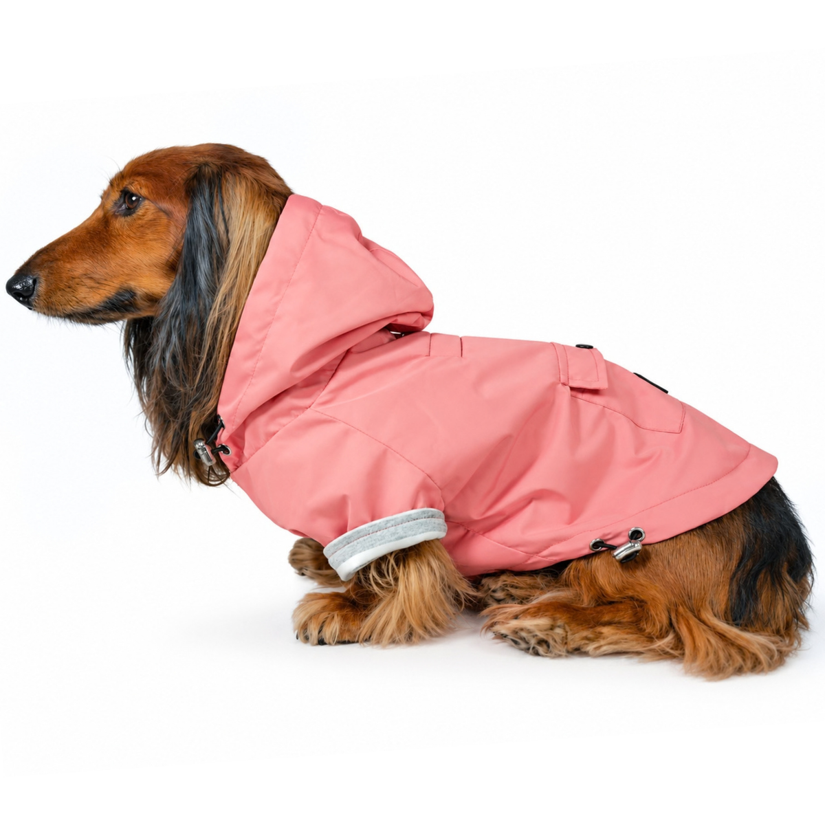Longhaired Dachshund wearing the Quartz Pink Highland Dog Jacket & Raincoat with hood on a white background