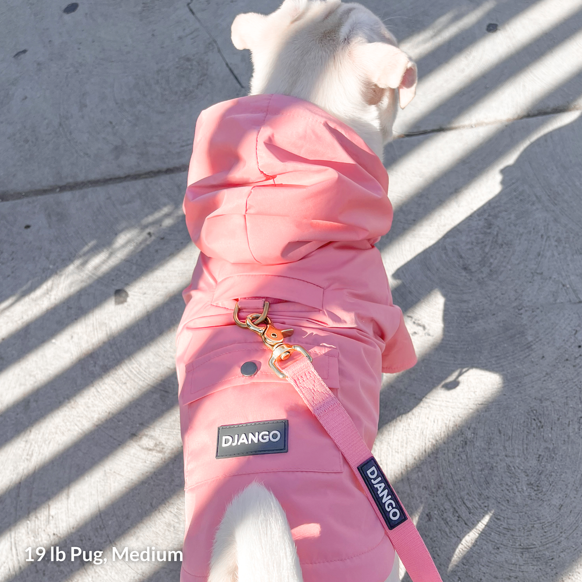 raincoat-pug-medium-19lb.jpg	19 lb Pug wearing a Medium Quartz Pink Highland Dog Jacket & Raincoat on a neighborhood walk