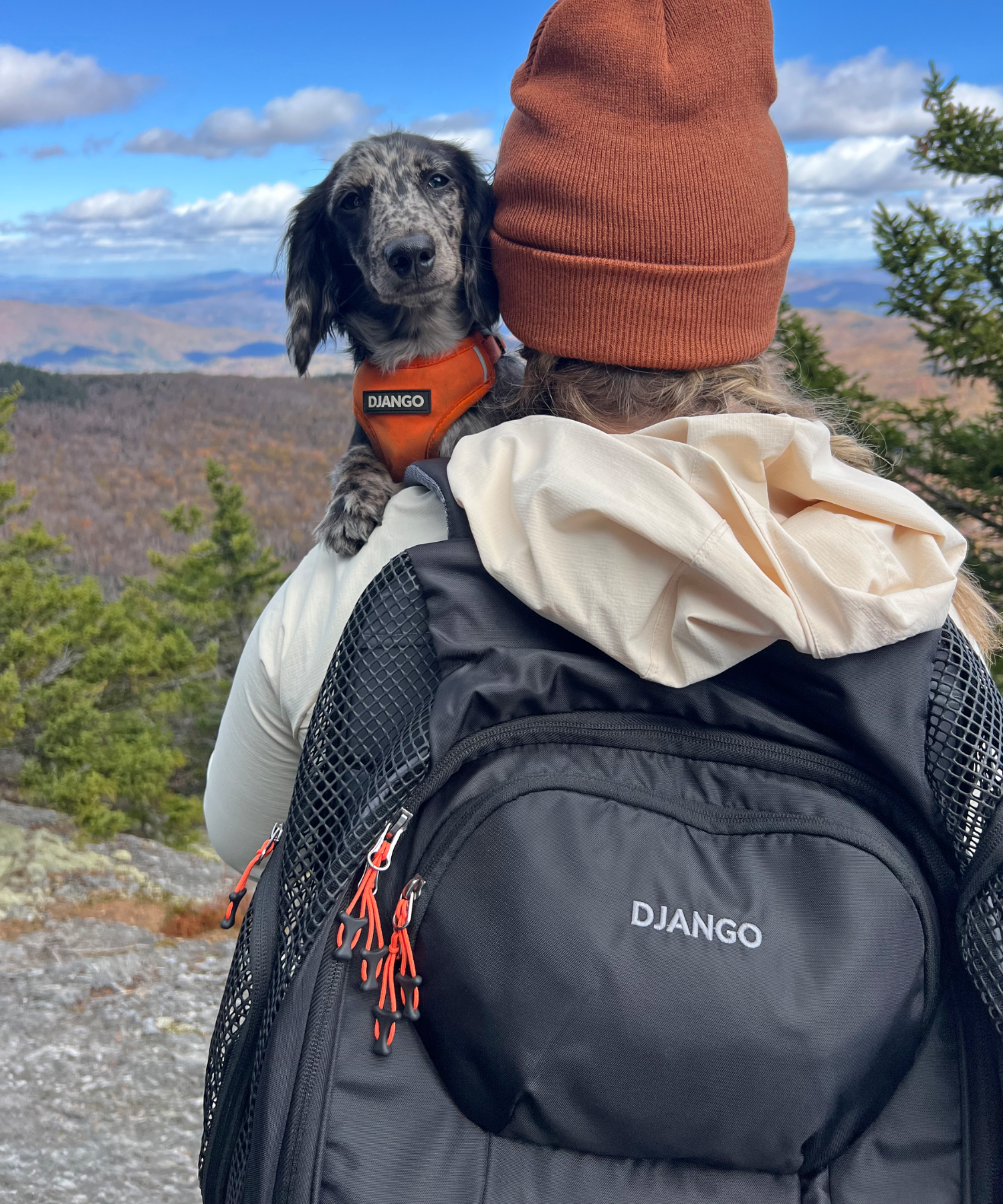 Best backpack carrier shop