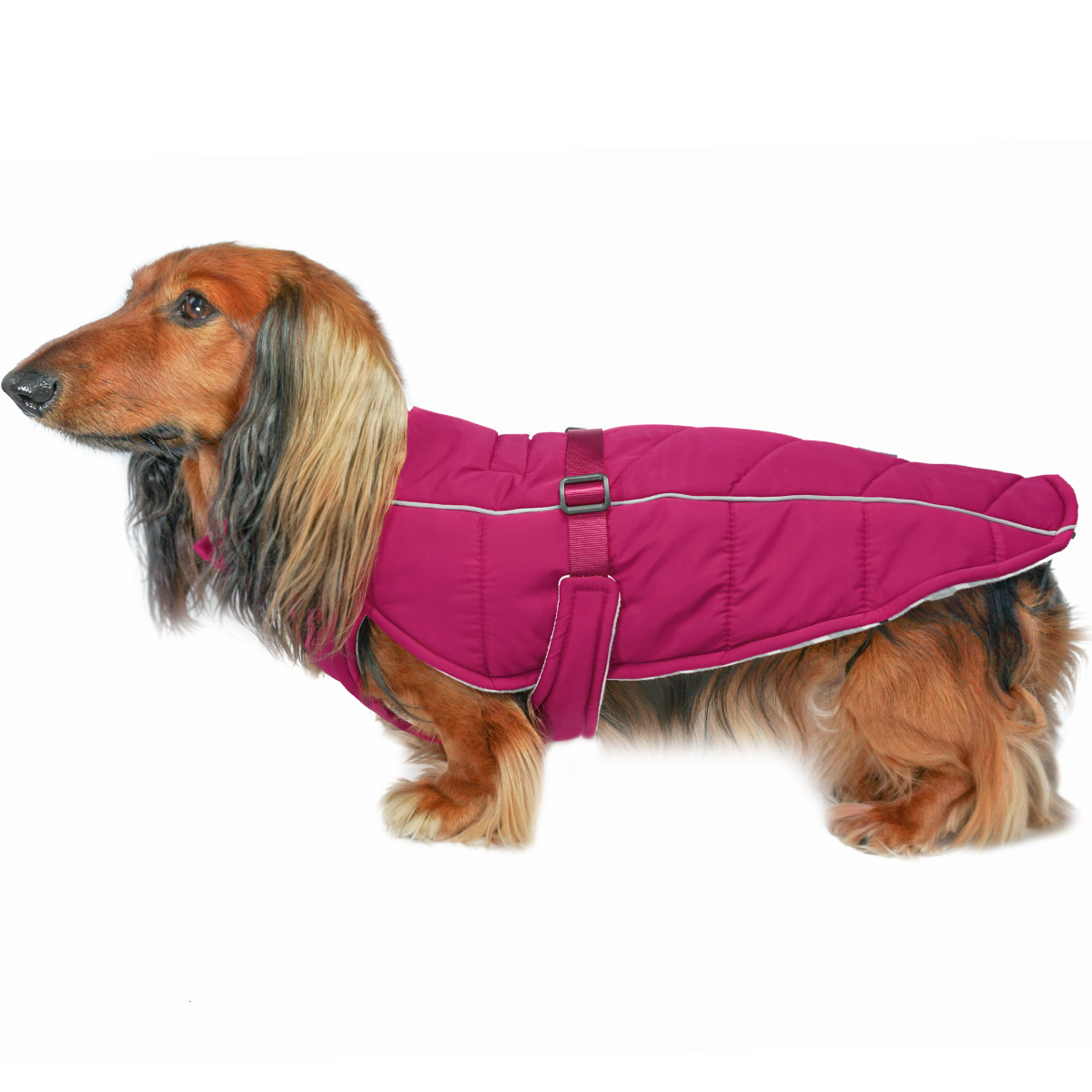 insulated winter dog coat with harness hole in hibiscus pink by DJANGO USA dog clothing brand