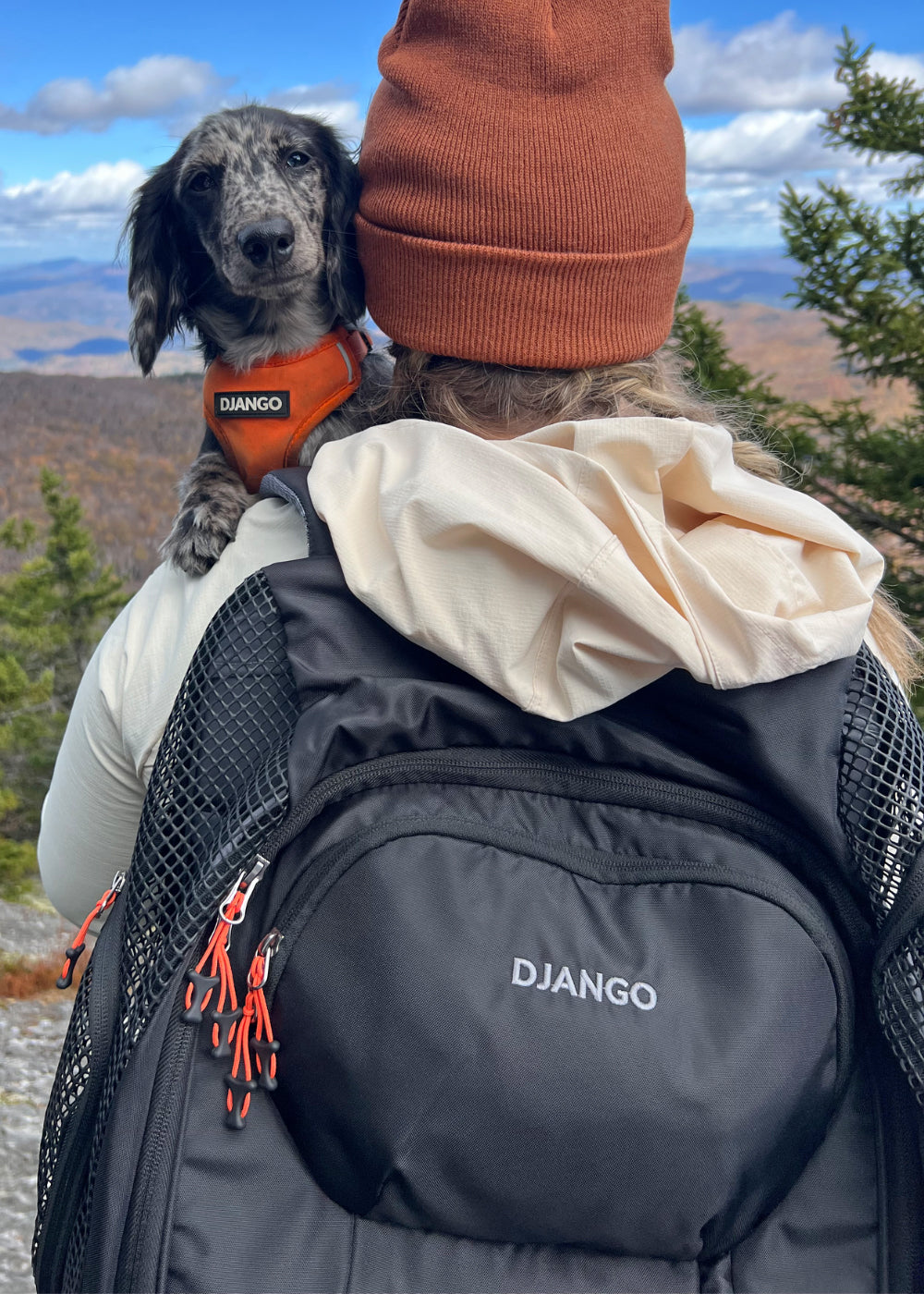 DJANGO Modern durable and stylish dog accessories and apparel