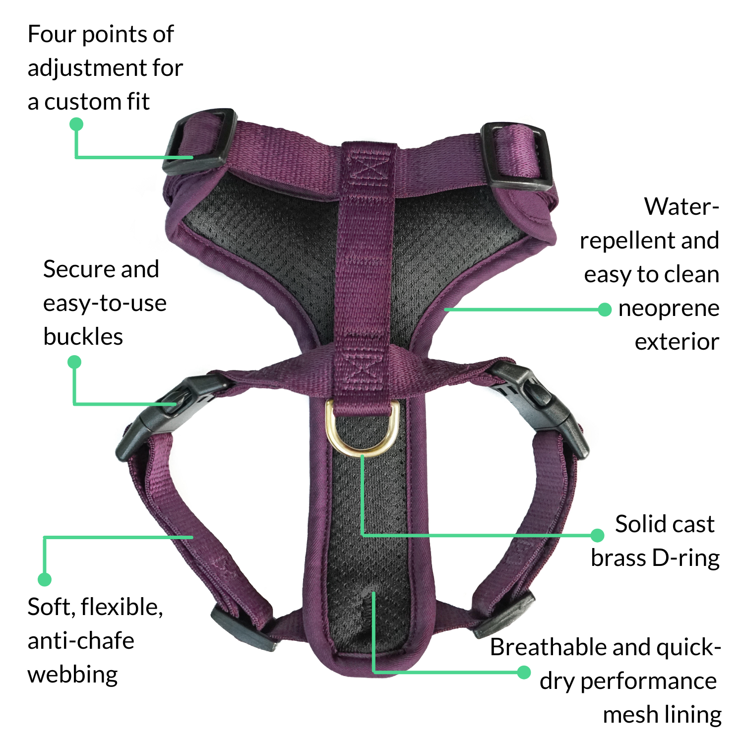 Feature diagram of the plum purple DJANGO Adventure Cat Harness showing four adjustment points, secure buckles, breathable mesh, neoprene exterior, and solid brass D-ring.