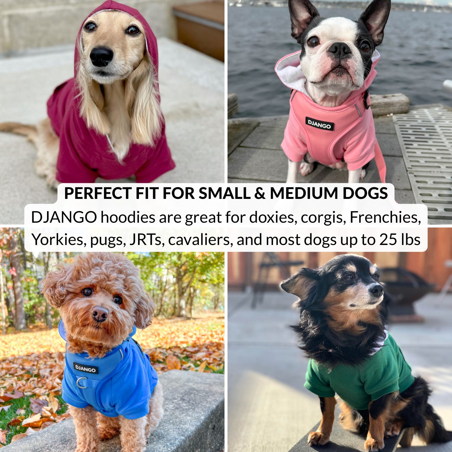 Collage of dogs wearing colorful hoodies with text about Django hoodies for small and medium dogs.