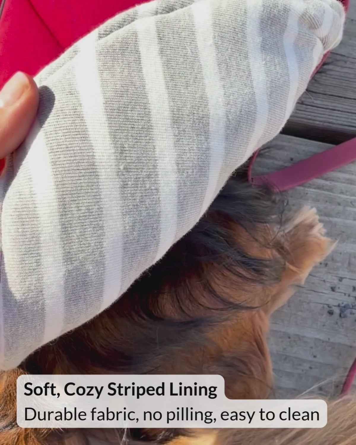 Video close-up showing the soft striped lining of the Firelight Red Whistler Winter Dog Coat, highlighting its insulated warmth and premium quality construction.