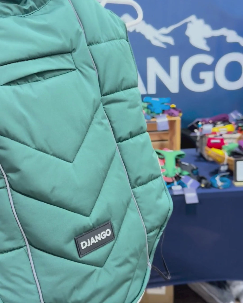 Dogs wearing DJANGO Whistler Winter Dog Coat in Lafayette Green, a warm and cozy puffer coat for long dogs, medium dogs, large dogs, and barrel chested breeds.