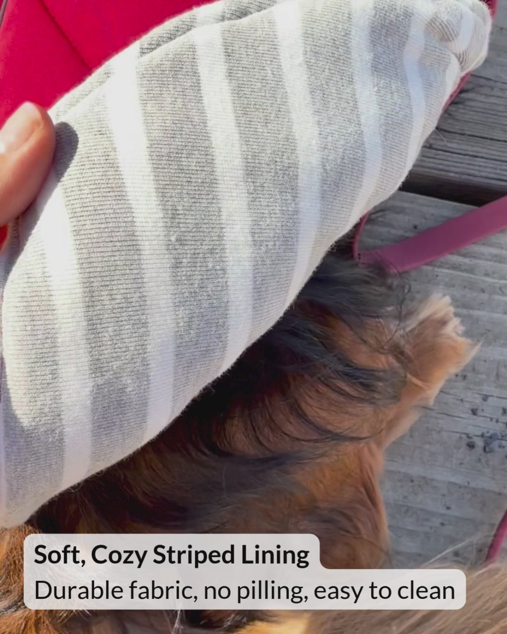 Video showing the cozy striped no-pill interior lining of the Firelight Red insulated winter dog coat