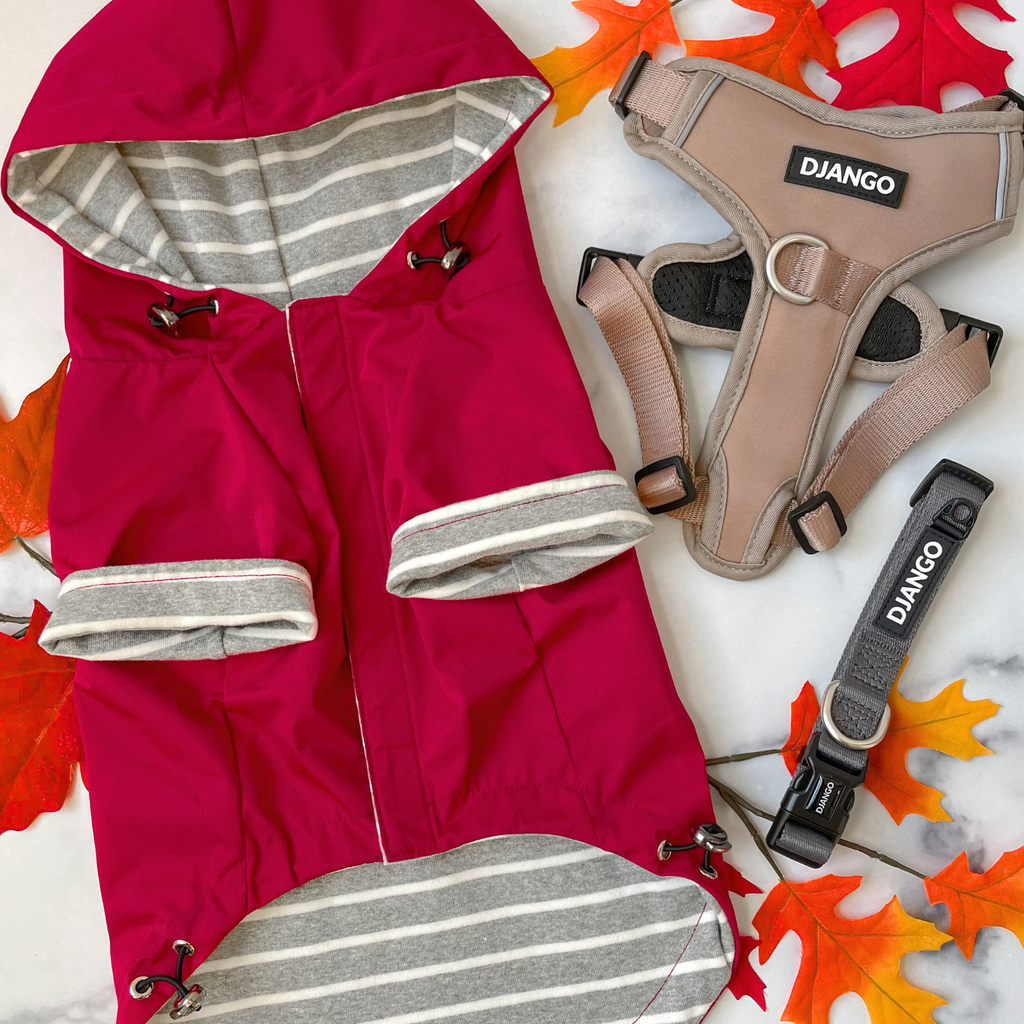 Video showing up close details of r3ed dog raincoat with hood, adjustable toggles for hem and neckline, and soft and warm striped lining