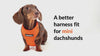 Video showcasing the fit, adjustability, and comfort of the DJANGO Adventure Dog Harness on a smooth mini dachshund. This is an over-the-head harness for doxies that offers a supportive, padded, and lightweight fit for everyday use as well as more rugged hikes and adventures.