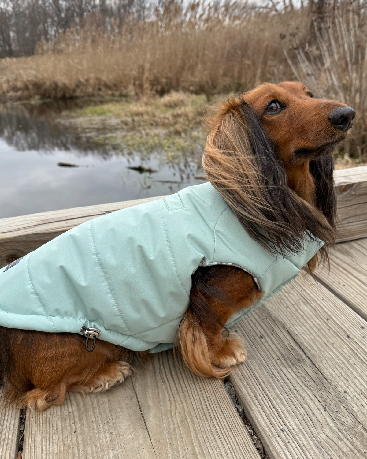 The Snowline™ Puffer Dog Coat is the ultimate winter dog jacket for warmth, comfort, and protection. This insulated, snowproof, and windproof puffer coat is perfect for adventurous pups braving rain, snow, or slush. Reversible and stylish, this waterproof winter dog coat offers two versatile looks while keeping your dog cozy all winter long.