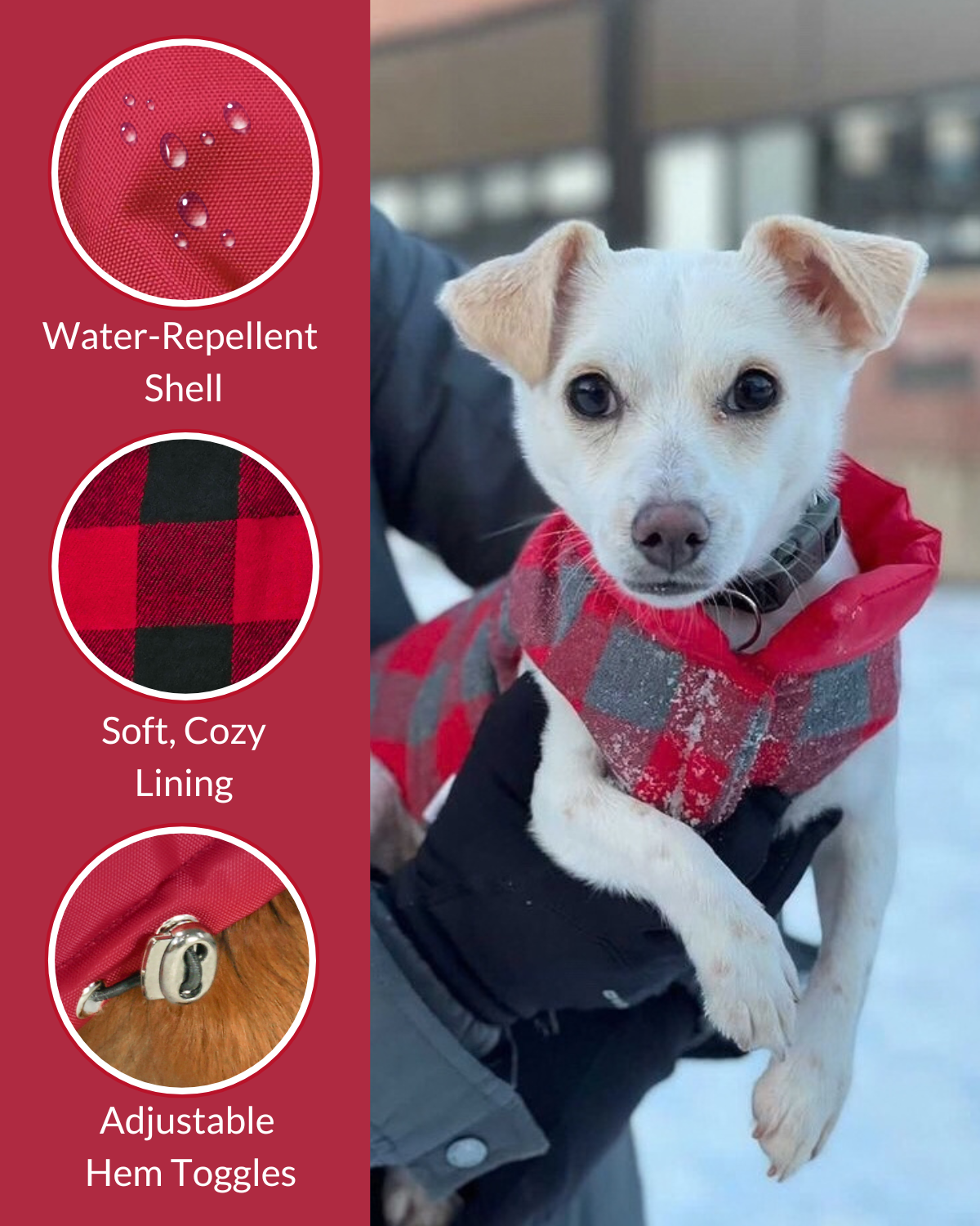 Chiweenie dog wearing a red plaid puffer dog coat with coat feature callouts on left side of image