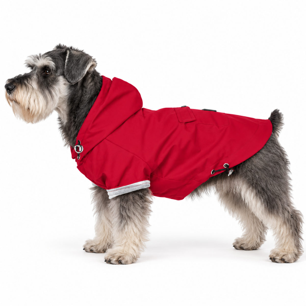 Miniature schnauzer wearing a hooded red dog jacket and raincoat with adjustable fit, back pocket, and sleeves for full coverage