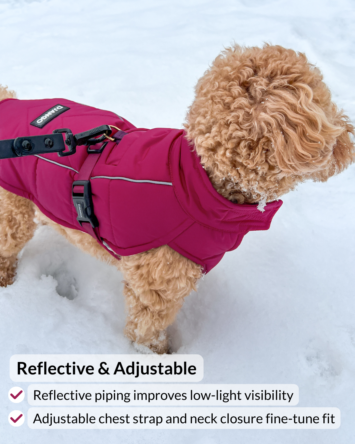 Reflective trim and adjustable chest strap of Whistler winter dog coat by DJANGO with text overlay explaining the features