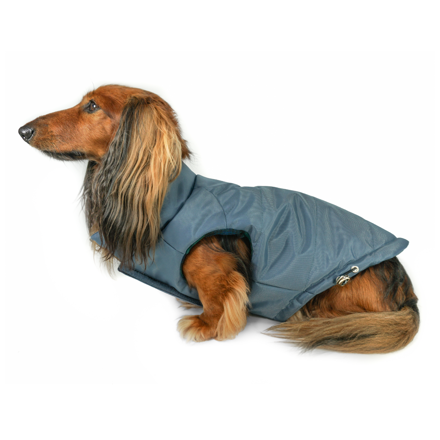 Premium navy blue Puffer Dog Coat: DJANGO's Reversible Puffer Dog Coat is a high-quality winter jacket designed to keep dachshunds and all small to medium-sized dogs warm and stylish in cold weather.