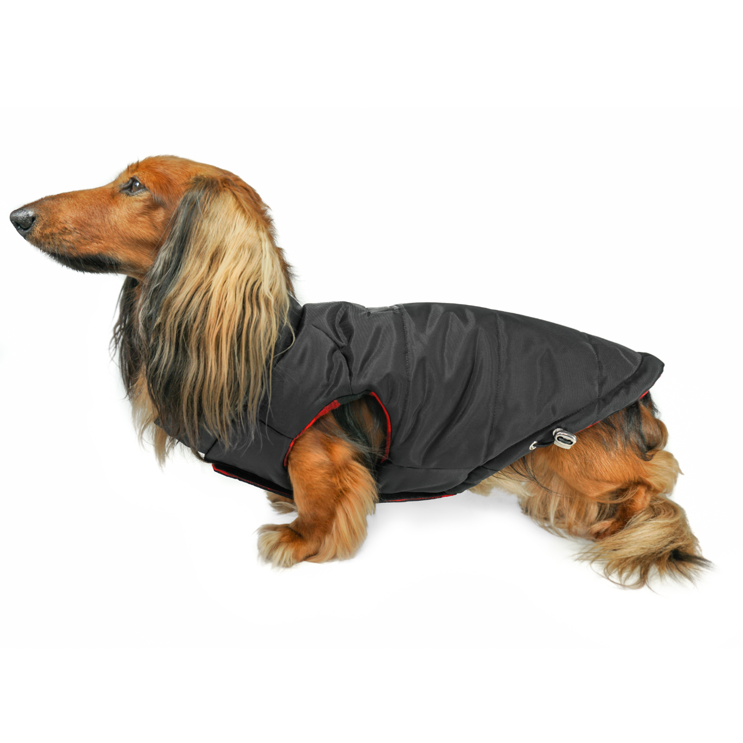 Premium black Winter Dog Coat: DJANGO's Reversible Puffer Dog Coat is a high-quality insulated winter jacket designed to keep dachshunds and all small and medium-sized dogs warm, dry, and protected in cold weather.