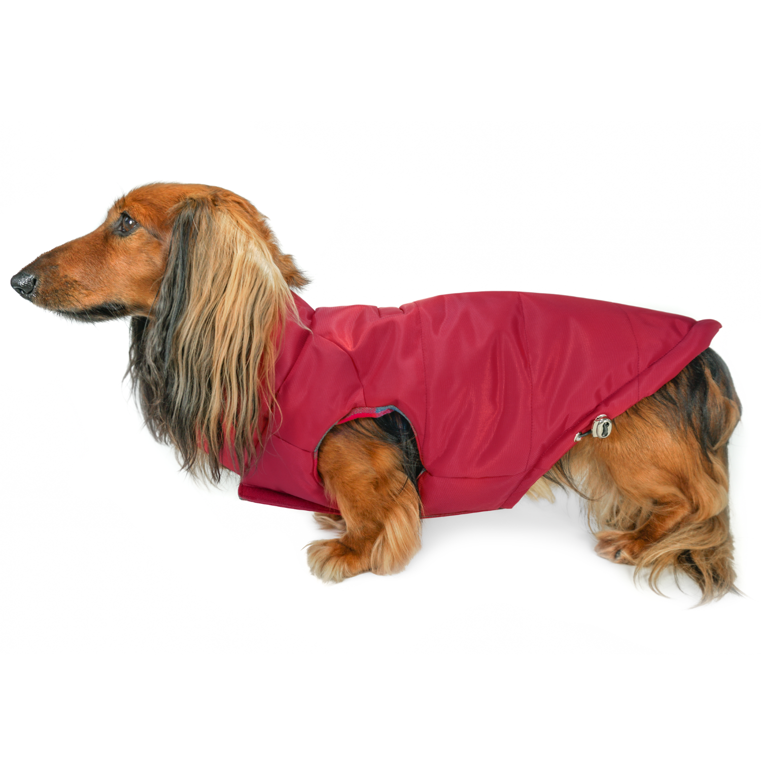 Premium Red Puffer Dog Coat: DJANGO's Reversible Puffer Dog Coat is a high-quality winter jacket designed to keep dachshunds and all small to medium-sized dogs warm and stylish in cold weather.