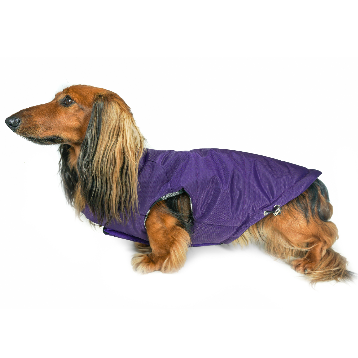 Premium Violet Purple Winter Dog Coat: DJANGO's Reversible Puffer Dog Coat is a high-quality insulated winter jacket designed to keep dachshunds and all small and medium-sized dogs warm, dry, and protected in cold weather.