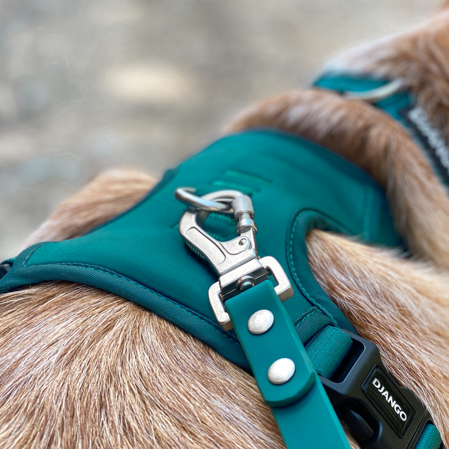 #color_dark teal green