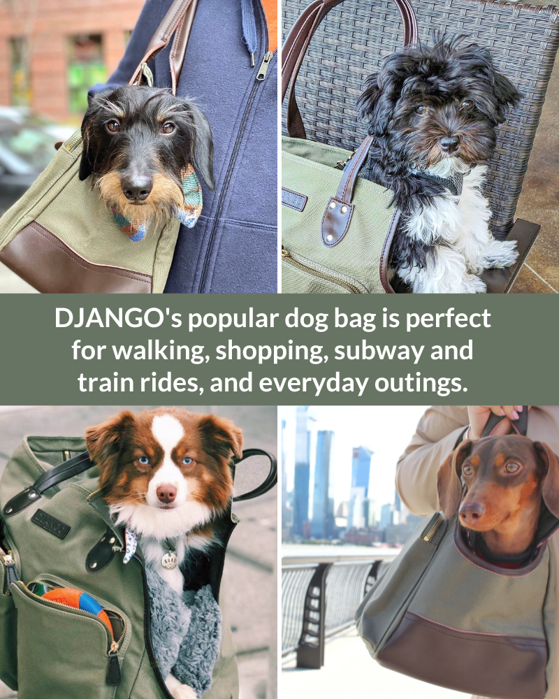 Best pet travel tote for small dogs 