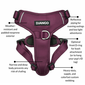 DJANGO Tahoe No Pull Dog Harness in Raspberry Purple - A comfortable, lightweight, padded, and adventure-ready no pull dog harness with front and back clips. - djangobrand.com