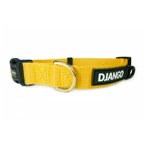 DJANGO Adventure Dog Collar in Dandelion Yellow - Modern, durable, and stylish collar for small and medium dogs and puppies with solid cast brass hardware - djangobrand.com
